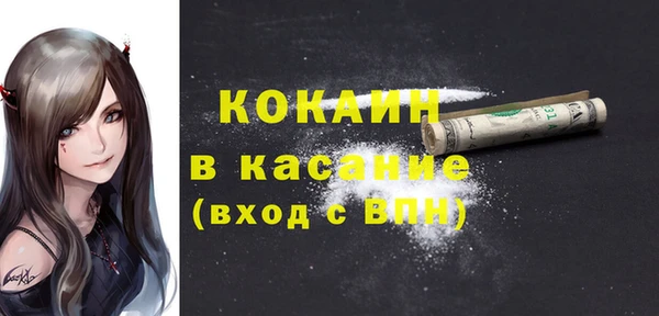 соль ск Бородино