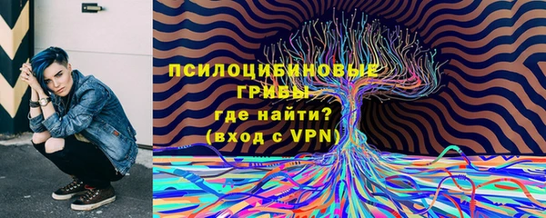 2c-b Богородицк