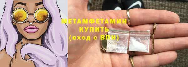 сатива Беломорск