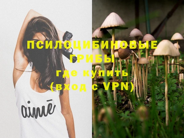 мяу мяу мука Белокуриха