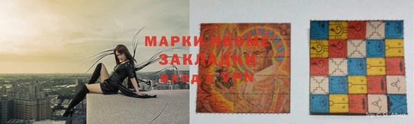 сатива Беломорск