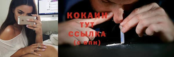 сатива Беломорск