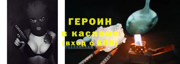 сатива Беломорск