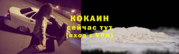 сатива Беломорск