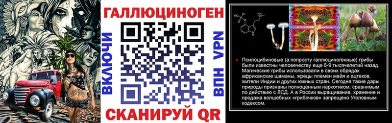 mega ONION цена Губкинский Галлюциногенные грибы Psilocybine cubensis
